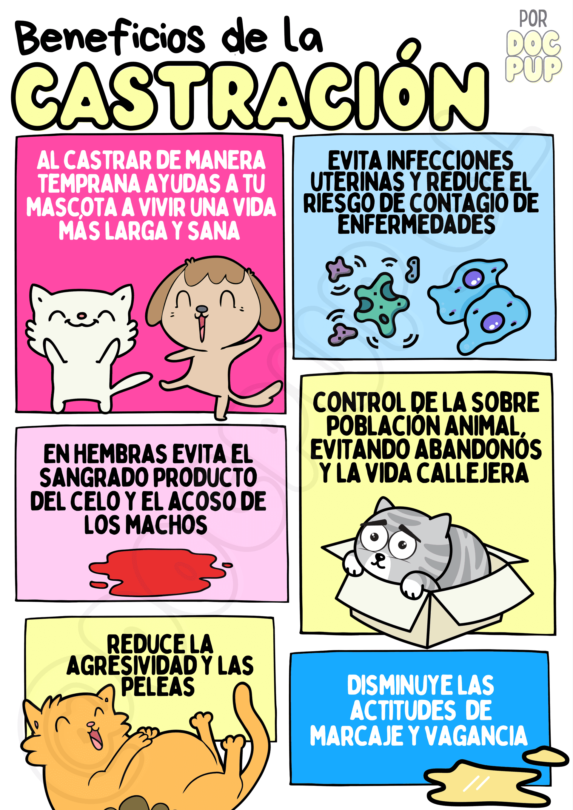 infografía de los beneficios de la castración